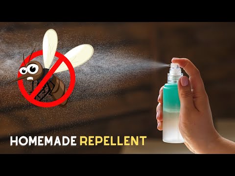 Read more about the article How to Make a Natural Insect Repellent to Protect Your Home