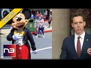 Read more about the article Josh Hawley Declares War On Walt Disney In New Move That Will Drive Them Insane