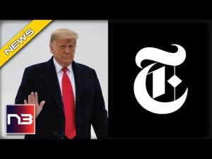 Read more about the article Two Years Too Late: The NY Times Admits Trump Was Right!