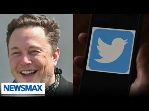 Read more about the article Elon Musk wants to see how many bots there are on Twitter | Kara Frederick | ‘The Count’