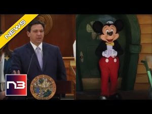 Read more about the article Happiest Man On Earth: DeSantis Wins Huge Victory Over Disney World