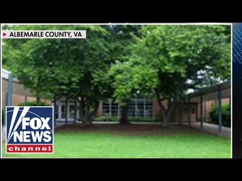 You are currently viewing Virgnia mom fighting legal battle with son’s school over CRT curriculum