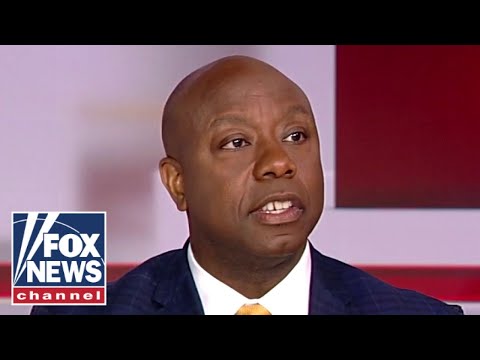 You are currently viewing Sen. Tim Scott: This is unbelievable