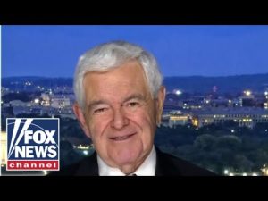 Read more about the article People have to run in the ‘shadow’ of Trump: Gingrich