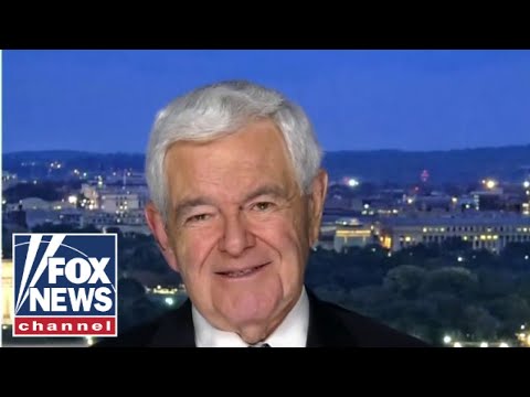 You are currently viewing People have to run in the ‘shadow’ of Trump: Gingrich