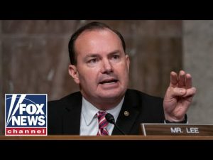 Read more about the article Mike Lee: This was a threat