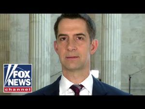 Read more about the article Sen. Cotton: Biden’s ‘rank incompetence’ caused this