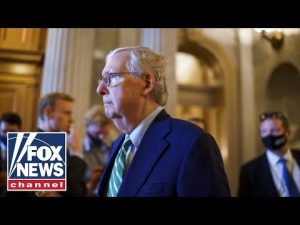 Read more about the article Sen. McConnell: Radical leftists want to ‘elevate mob rule’