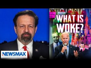 Read more about the article History Dems don’t want you to learn: The Gorka Reality Check