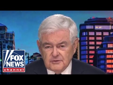 You are currently viewing Gingrich: Biden is right and his staff is nuts