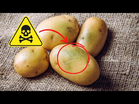 You are currently viewing If You Notice This on a Potato, Don’t Eat It