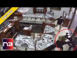 Read more about the article Armed Thieves Rush Jewelry Store, But Didn’t Expect To Get Hit By What Happened Next