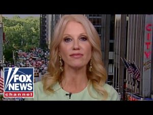 Read more about the article Kellyanne Conway: This is no way to run a country