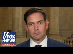 Read more about the article Marco Rubio calls for a ‘multidisciplinary’ approach to preventing school shootings