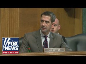 Read more about the article Sen. Cotton presses Biden’s ATF nominee on ‘defining’ assault weapon