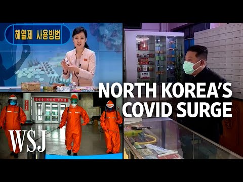 Read more about the article North Korea Fights Covid With Painkillers, Lockdowns and TV Health Segments | WSJ