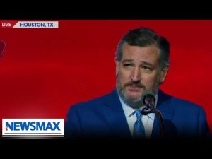 Read more about the article Ted Cruz: Examine the cultural sickness giving birth to evil