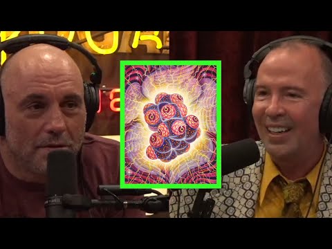 Read more about the article Doug Stanhope’s DMT Experience