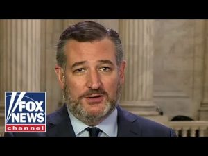 Read more about the article Ted Cruz scolds ‘woke little left-wing twit’ who leaked Supreme Court draft opinion