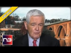 Read more about the article Newt Gingrich Makes Prediction On Whether Republicans Will Win 2022 Midterms