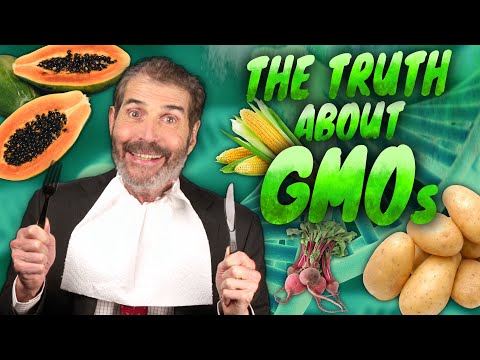 You are currently viewing The Truth about GMOs