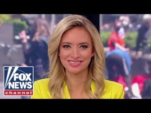 Read more about the article Kayleigh McEnany: This is the twilight zone