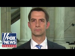 Read more about the article No reasonable person can think this is appropriate: Sen. Cotton