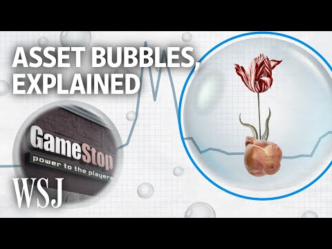 Read more about the article How Do Bubbles Form? Gamestop and Tulips Can Help Explain | WSJ