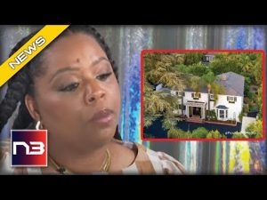 Read more about the article BLM Co-Founder Admits to Major Lie About What She Did In Their $6 Million Mansion