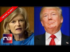 Read more about the article Here’s Trump’s SECRET WEAPON To End Lisa Murkowski Once And For All