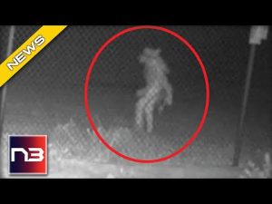 Read more about the article Picture Shows UNIDENTIFIED Monster Seen on Surveillance Camera In Texas