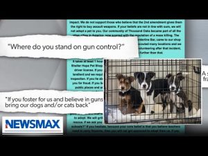 Read more about the article Animal shelter bans pro-gun supporters from adopting dogs?