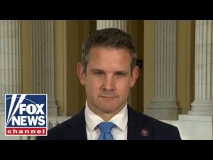 Read more about the article This is how democracies fail: Kinzinger