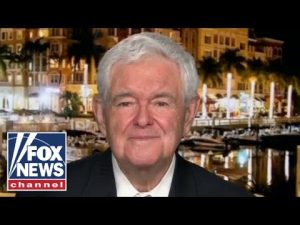 Read more about the article This is really an enormous problem: Gingrich