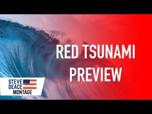 Read more about the article Red  ̶W̶a̶v̶e̶ TSUNAMI | Steve Deace Show