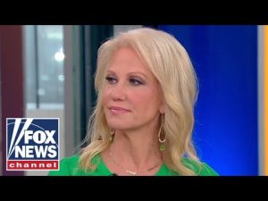 Read more about the article Kellyanne Conway: Democrats should have seen this coming