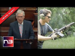 Read more about the article Senator Mitch McConnell Gives SIGNAL To Democrats: Gun control begins in America