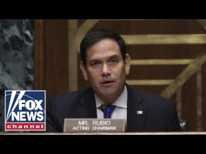 Read more about the article Sen. Rubio rips Democrats’ ‘deranged’ border policy