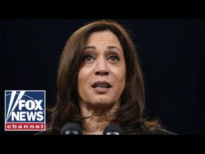 Read more about the article Kamala Harris has become a ‘glorified’ content moderator: Greenwald