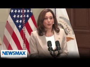 Read more about the article Kamala Harris to head potential return of disinformation board | George Papadopoulos