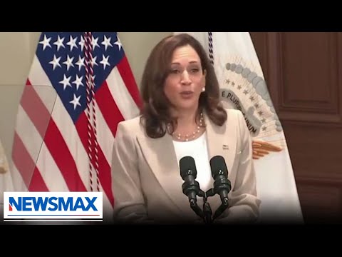 You are currently viewing Kamala Harris to head potential return of disinformation board | George Papadopoulos