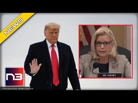 You are currently viewing Trump Declares Liz Cheney is a WAR CRIMINAL for What She Did