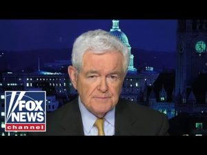 Read more about the article Gingrich: This bill is an ‘open invitation’ to create ‘left-wing mindset’