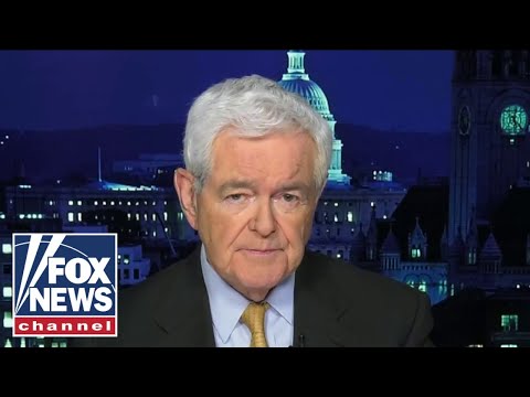 You are currently viewing Gingrich: This bill is an ‘open invitation’ to create ‘left-wing mindset’