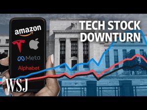 Read more about the article Why Are Tech Stocks Taking Such a Beating? | WSJ