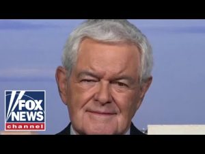 Read more about the article Harris is crazy enough to satisfy the Left: Newt Gingrich