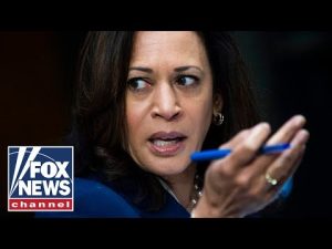 Read more about the article DNC reportedly cuts fundraiser ticket prices amid Harris’ nosediving approval