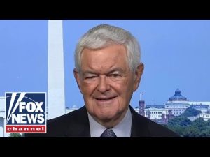 Read more about the article Gingrich: This state will have the biggest GOP-favored shift