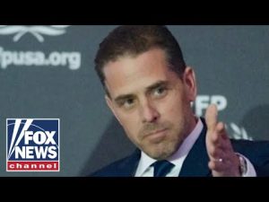 Read more about the article Devine on Hunter Biden investigation: This was their M.O.