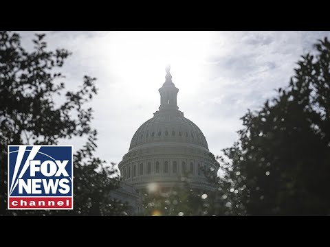 You are currently viewing LIVE: ‘Our Bodies, Our Sports’ rally calls for fairness in women’s sports